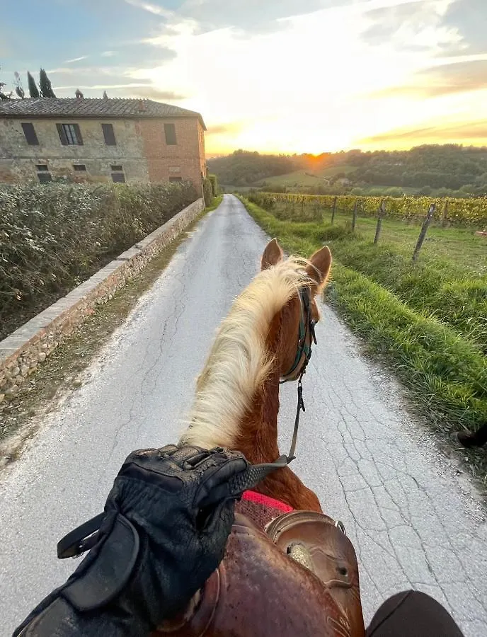 Alloggio per agriturismo Agriturismo La Corte Del Sole Siena