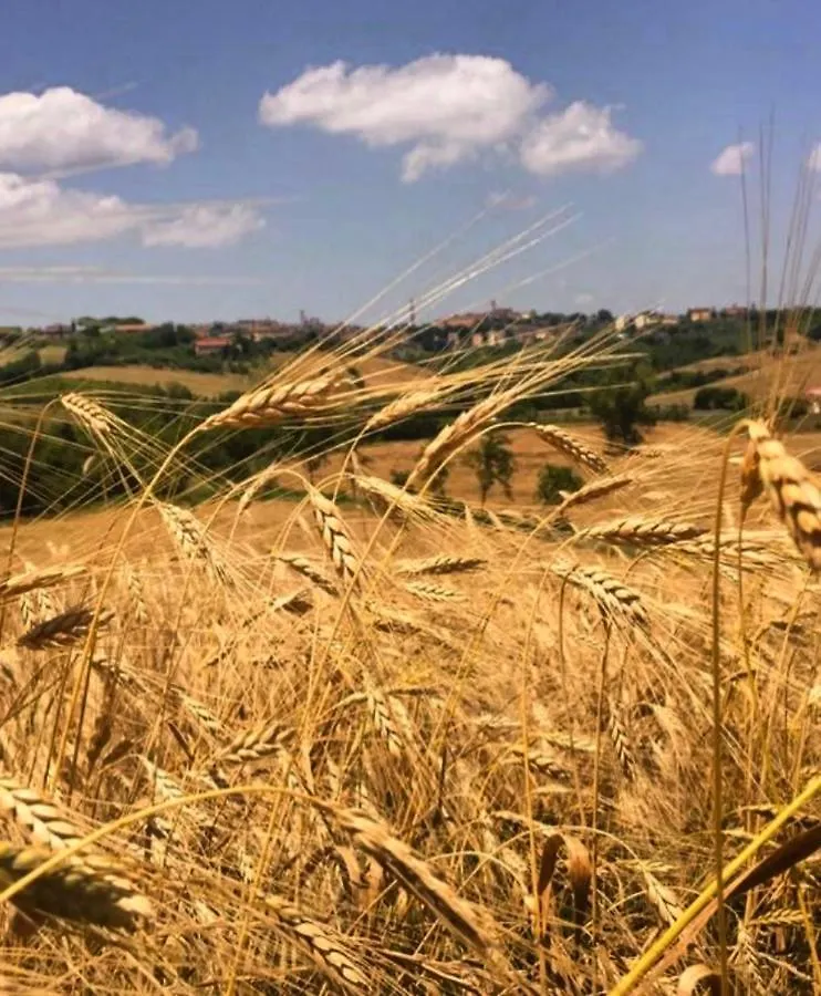 Alloggio per agriturismo Agriturismo La Corte Del Sole Siena
