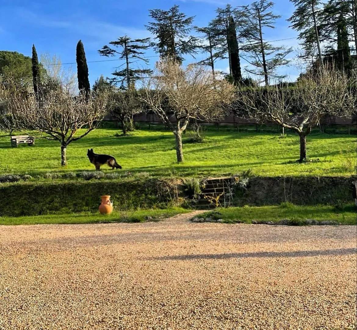 Agriturismo La Corte Del Sole Siena Farm stay