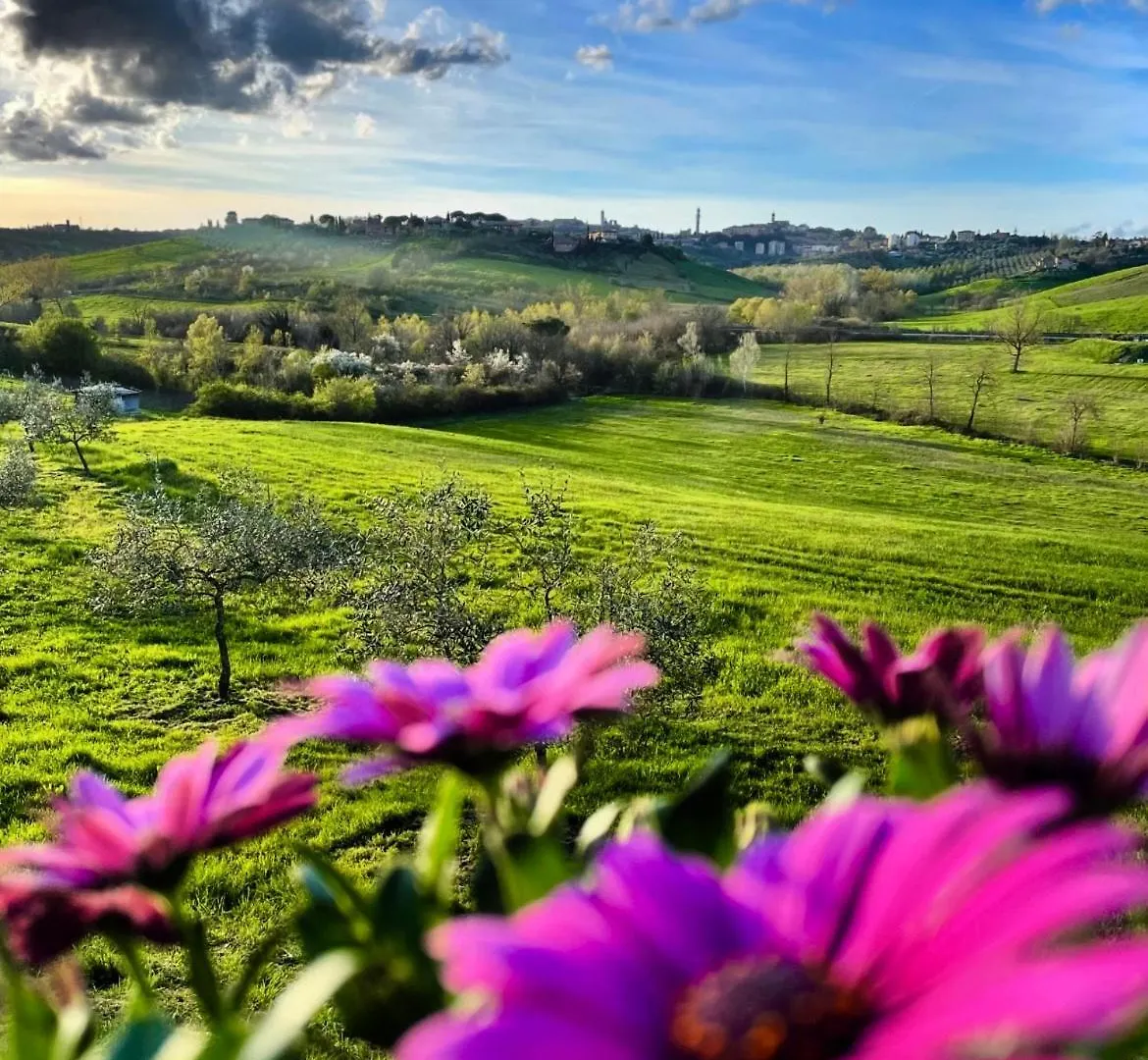 Alloggio per agriturismo Agriturismo La Corte Del Sole Siena