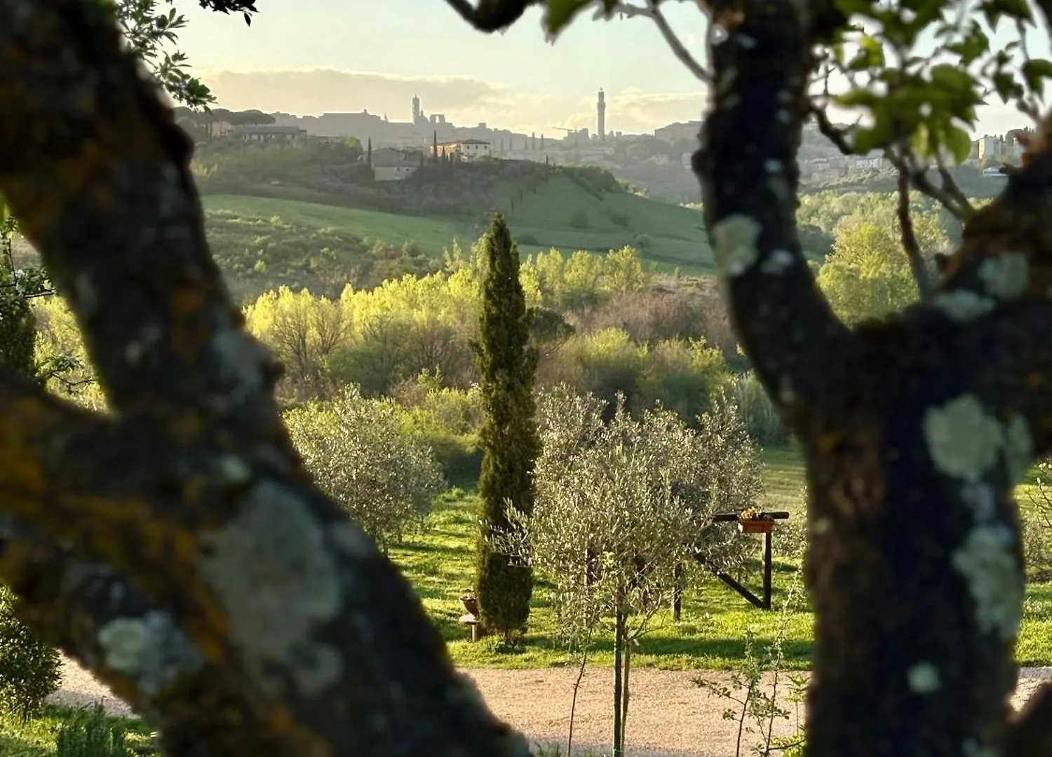 Agriturismo La Corte Del Sole Siena