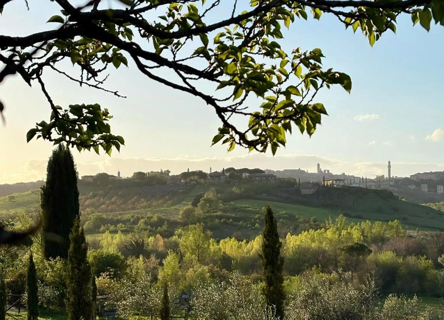 Agriturismo La Corte Del Sole Siena Alloggio per agriturismo